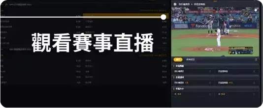 RG娛樂城體育賽事直播與即時投注平台